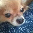 RIKU